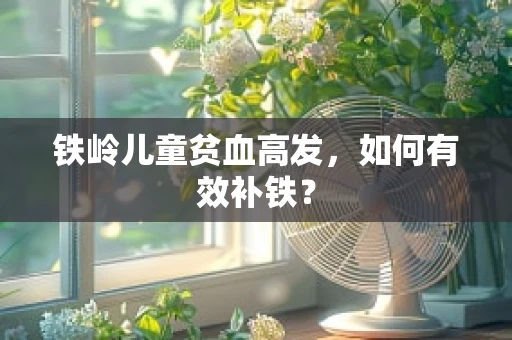 铁岭儿童贫血高发，如何有效补铁？