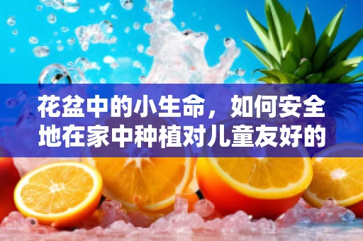 花盆中的小生命，如何安全地在家中种植对儿童友好的植物？