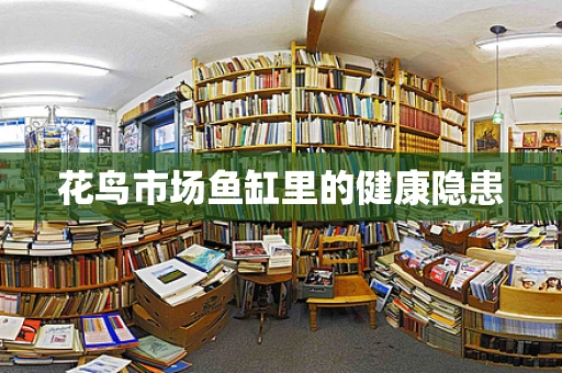 花鸟市场鱼缸里的健康隐患