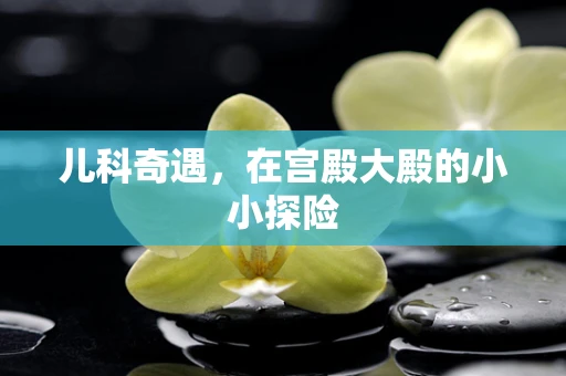 儿科奇遇，在宫殿大殿的小小探险
