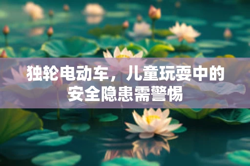 独轮电动车，儿童玩耍中的安全隐患需警惕