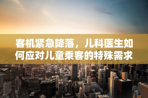 客机紧急降落，儿科医生如何应对儿童乘客的特殊需求？