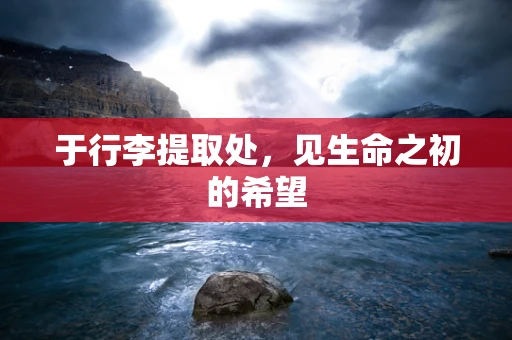 于行李提取处，见生命之初的希望