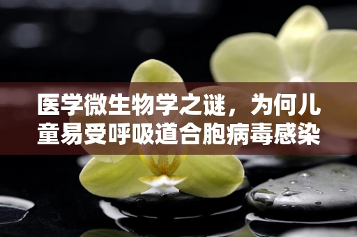 医学微生物学之谜，为何儿童易受呼吸道合胞病毒感染？