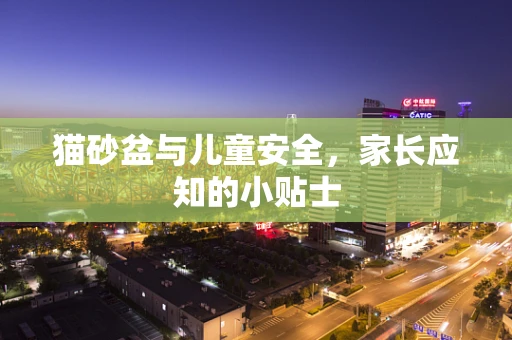 猫砂盆与儿童安全，家长应知的小贴士