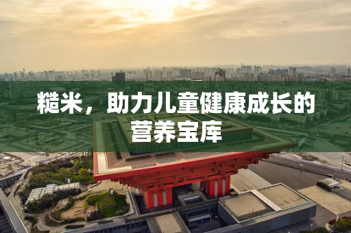 糙米，助力儿童健康成长的营养宝库