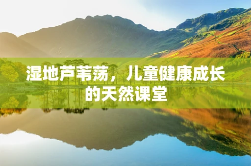 湿地芦苇荡，儿童健康成长的天然课堂