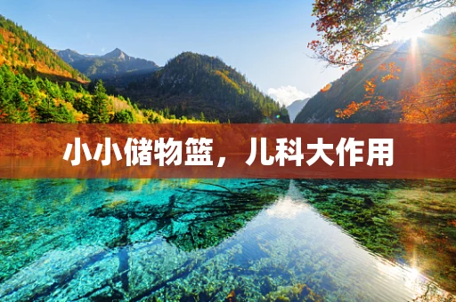 小小储物篮，儿科大作用