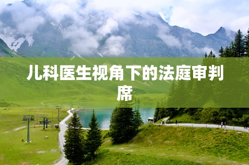儿科医生视角下的法庭审判席