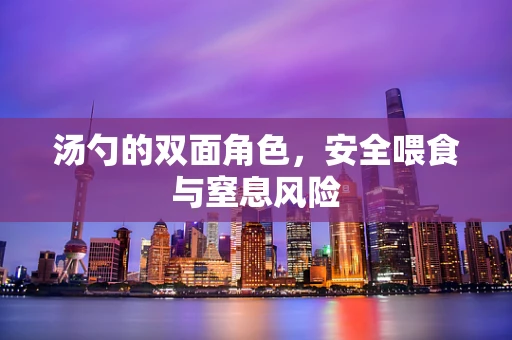 汤勺的双面角色，安全喂食与窒息风险
