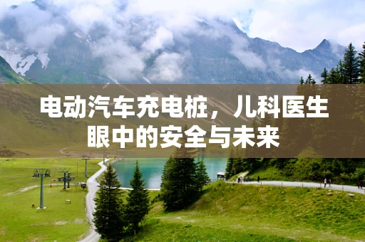 电动汽车充电桩，儿科医生眼中的安全与未来