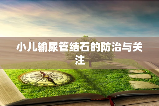 小儿输尿管结石的防治与关注