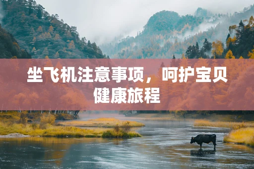 坐飞机注意事项，呵护宝贝健康旅程