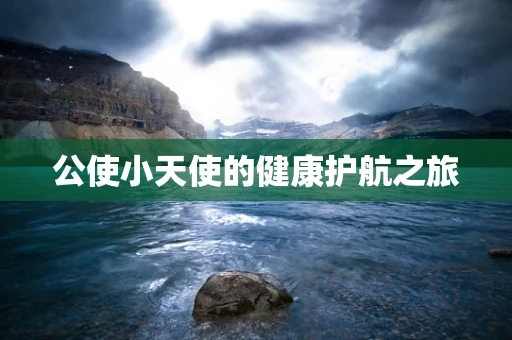 公使小天使的健康护航之旅
