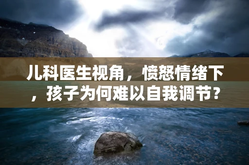 儿科医生视角，愤怒情绪下，孩子为何难以自我调节？