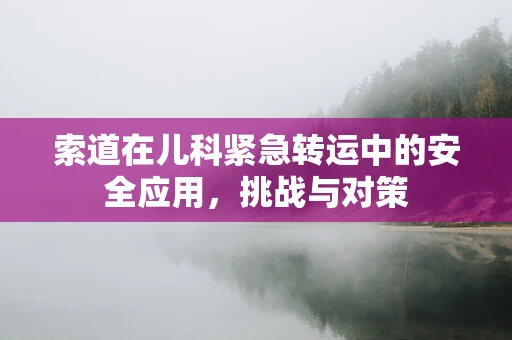 索道在儿科紧急转运中的安全应用，挑战与对策