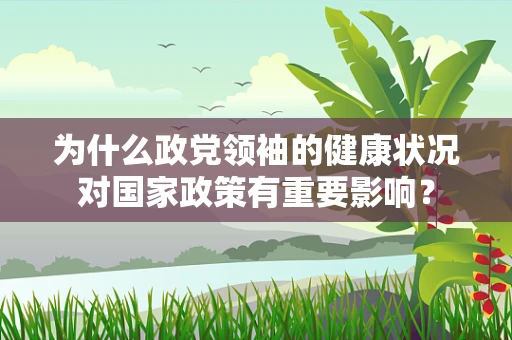 为什么政党领袖的健康状况对国家政策有重要影响？