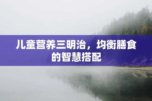 儿童营养三明治，均衡膳食的智慧搭配