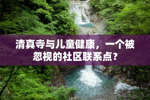 清真寺与儿童健康，一个被忽视的社区联系点？