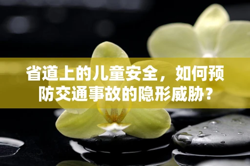 省道上的儿童安全，如何预防交通事故的隐形威胁？