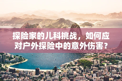 探险家的儿科挑战，如何应对户外探险中的意外伤害？