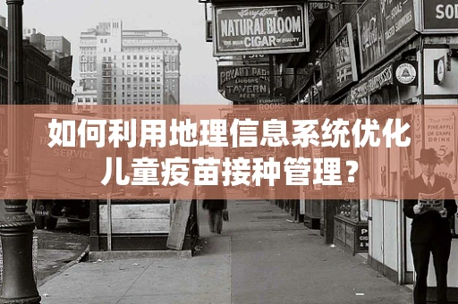 如何利用地理信息系统优化儿童疫苗接种管理？