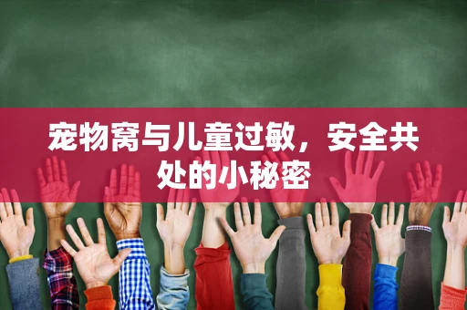 宠物窝与儿童过敏，安全共处的小秘密