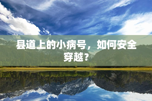 县道上的小病号，如何安全穿越？