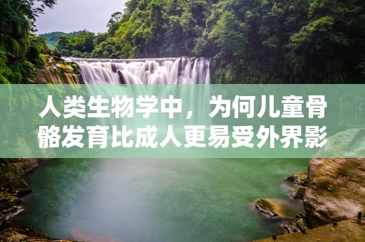 人类生物学中，为何儿童骨骼发育比成人更易受外界影响？