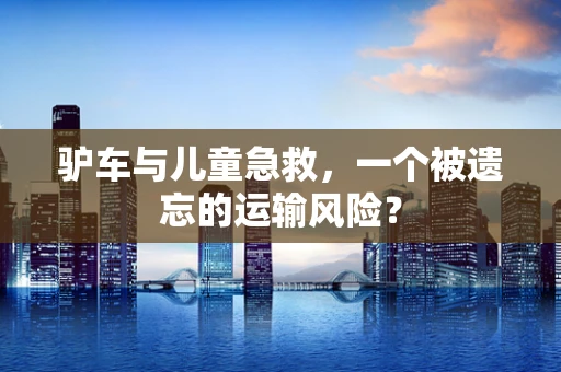 驴车与儿童急救，一个被遗忘的运输风险？
