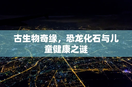 古生物奇缘，恐龙化石与儿童健康之谜