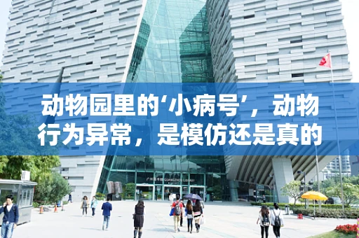 动物园里的‘小病号’，动物行为异常，是模仿还是真的不适？