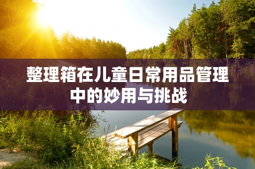 整理箱在儿童日常用品管理中的妙用与挑战
