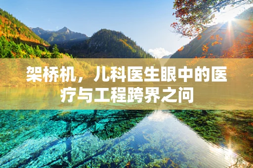 架桥机，儿科医生眼中的医疗与工程跨界之问