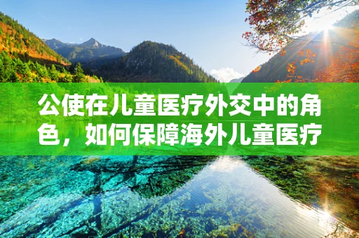 公使在儿童医疗外交中的角色，如何保障海外儿童医疗权益？