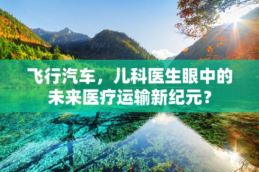 飞行汽车，儿科医生眼中的未来医疗运输新纪元？