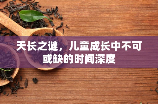天长之谜，儿童成长中不可或缺的时间深度
