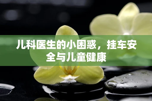 儿科医生的小困惑，挂车安全与儿童健康