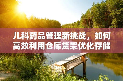 儿科药品管理新挑战，如何高效利用仓库货架优化存储？