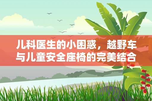 儿科医生的小困惑，越野车与儿童安全座椅的完美结合