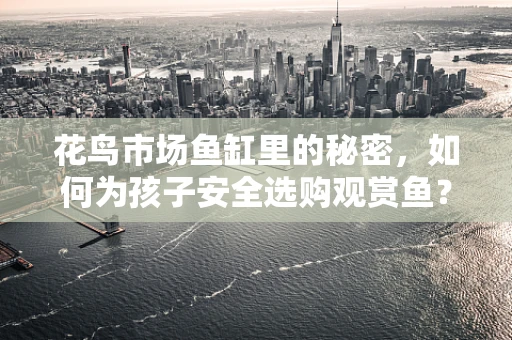 花鸟市场鱼缸里的秘密，如何为孩子安全选购观赏鱼？