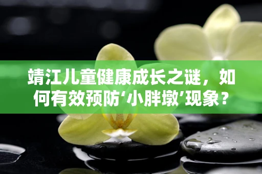 靖江儿童健康成长之谜，如何有效预防‘小胖墩’现象？