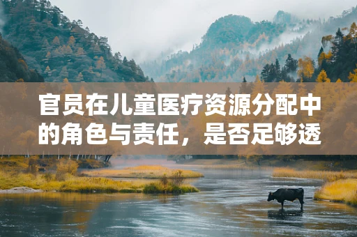 官员在儿童医疗资源分配中的角色与责任，是否足够透明公正？