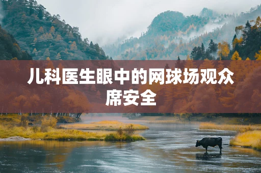儿科医生眼中的网球场观众席安全