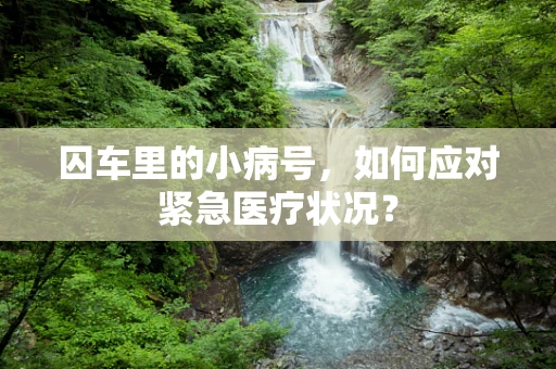 囚车里的小病号，如何应对紧急医疗状况？
