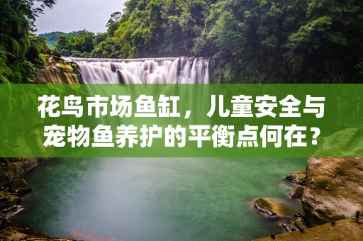 花鸟市场鱼缸，儿童安全与宠物鱼养护的平衡点何在？