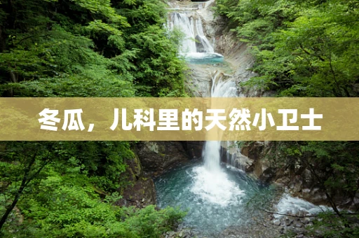 冬瓜，儿科里的天然小卫士