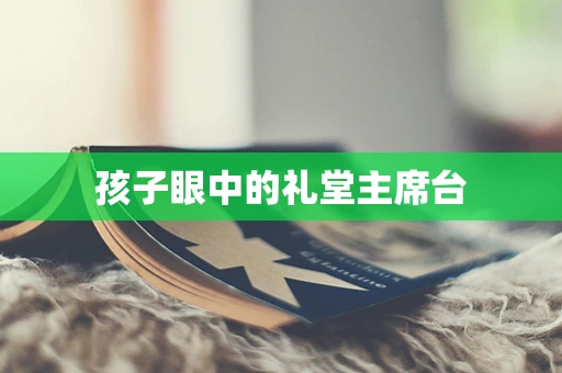 孩子眼中的礼堂主席台