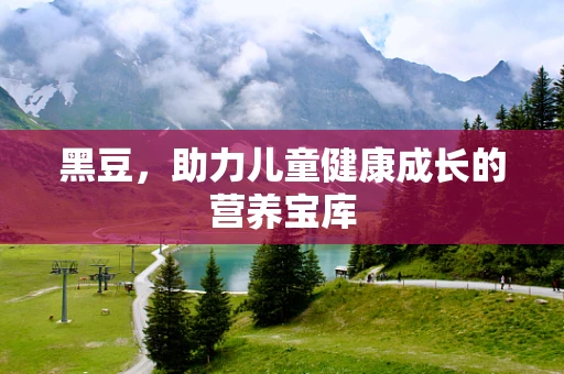 黑豆，助力儿童健康成长的营养宝库