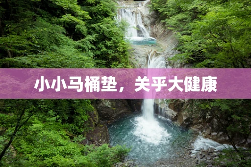 小小马桶垫，关乎大健康